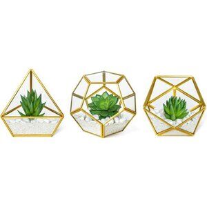 Artificial Succulent in 3 Pack Mini Glass Geometric Terrarium, Miniature